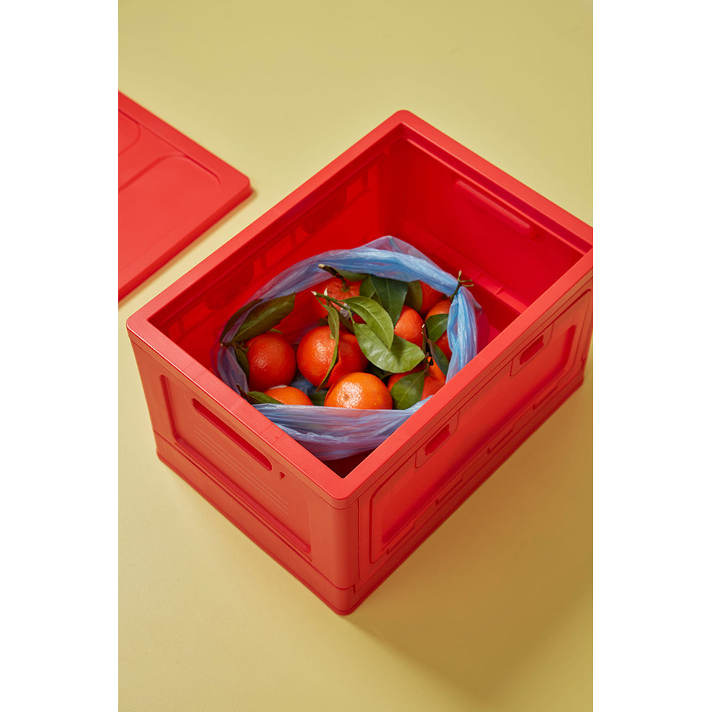 Studio About, Box large – Red