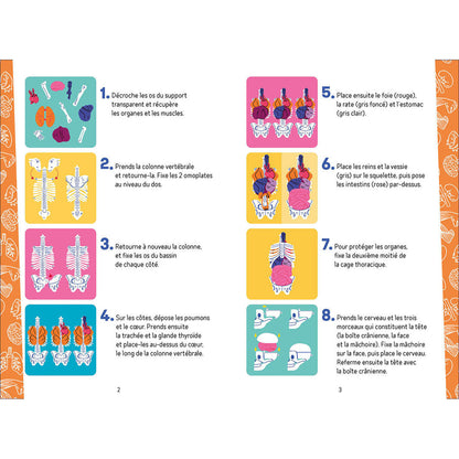 Auzou Aktivitetsboks, Utforsk kroppen