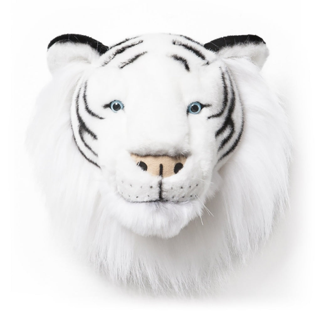 Dyretrofé til veggen, Hvit tiger