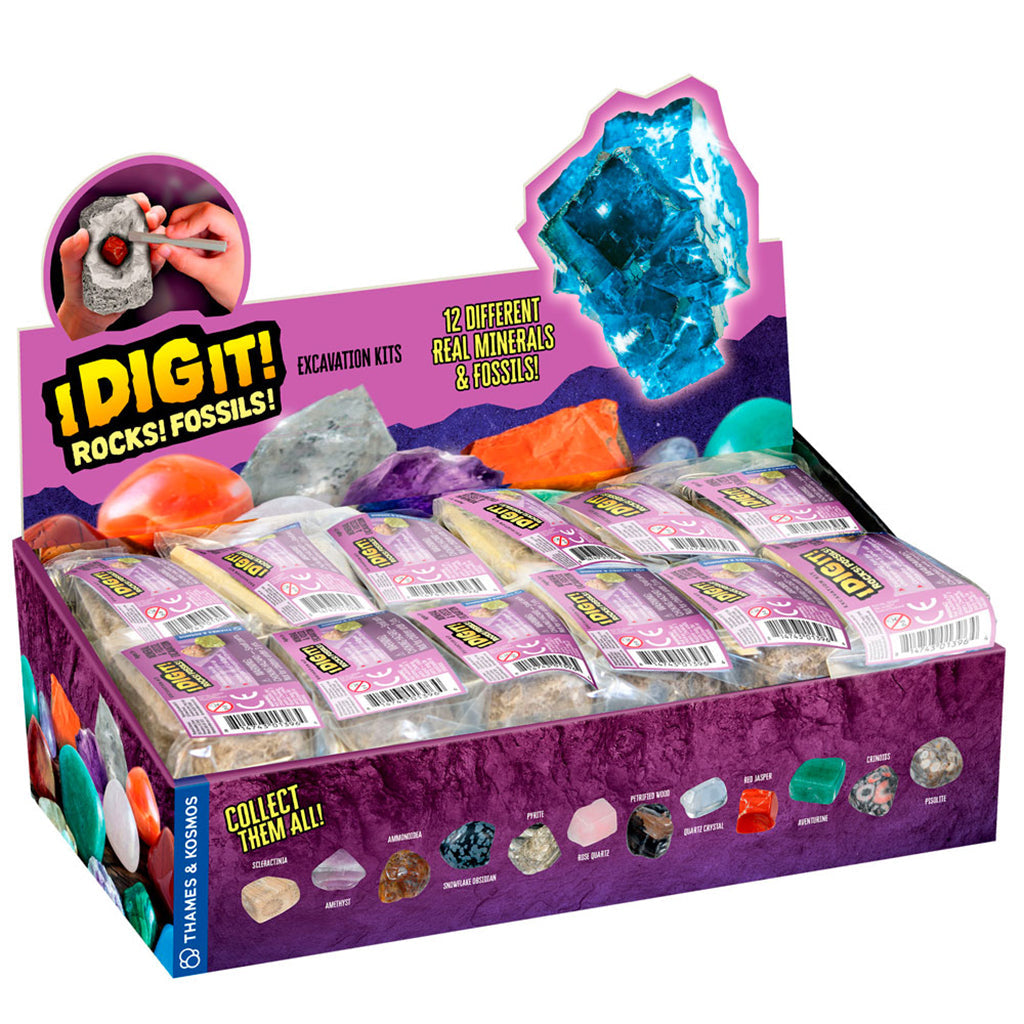 I Dig It! Dinos Display - Science Kit