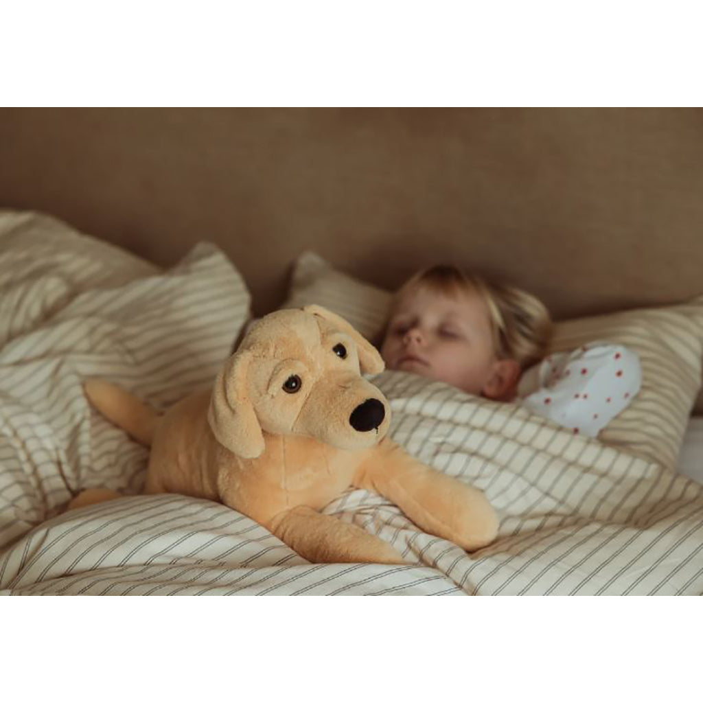 By Astrup tyngdedyr, hund - 2,2 kg