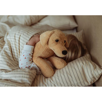 By Astrup tyngdedyr, hund - 2,2 kg