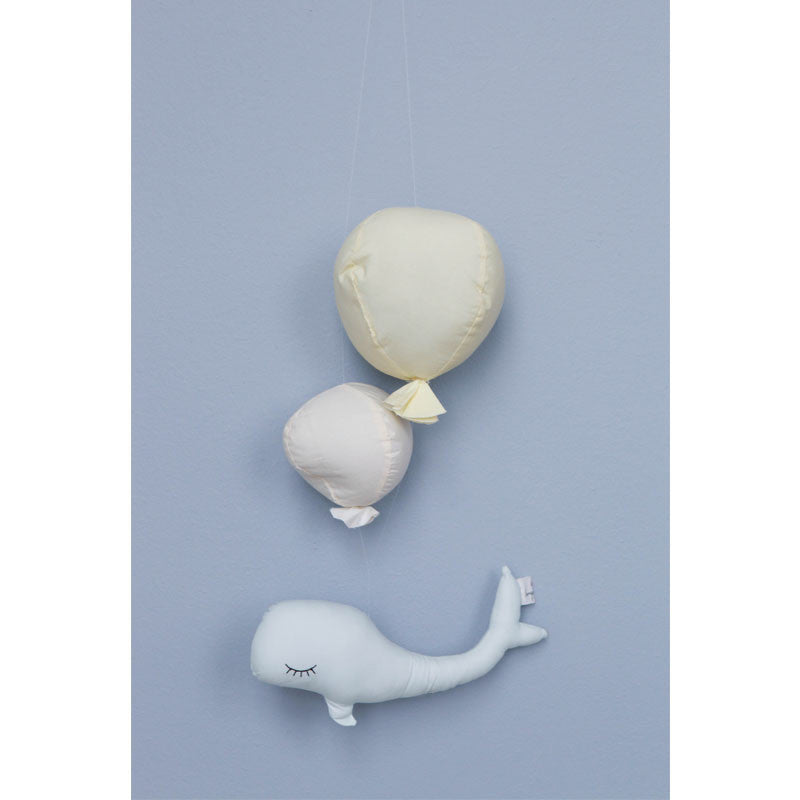 Konges Sløjd uro, whale boy