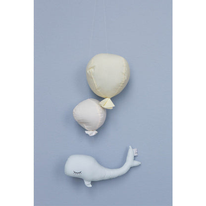 Konges Sløjd uro, whale boy