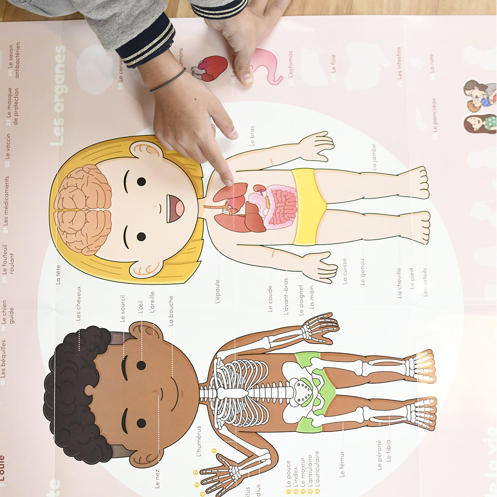 Poppik klistremosaikk i papir, Læringsplakat med 48 klistremerker – Kroppen