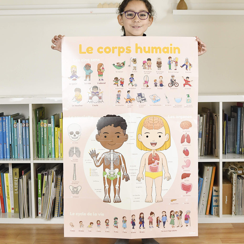 Poppik klistremosaikk i papir, Læringsplakat med 48 klistremerker – Kroppen