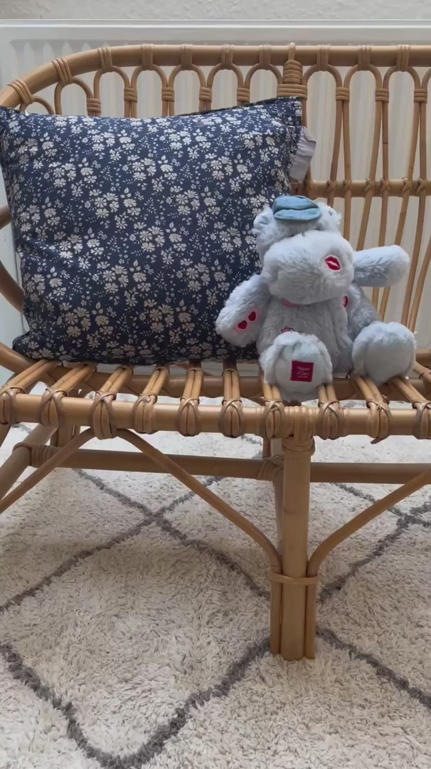 copy_EA9DFD91-AC12-4BAC-9001-28DCBDA77B85.mov