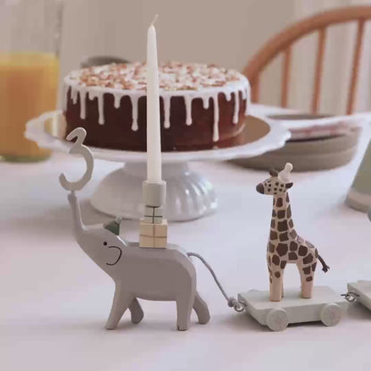 Sebra fødselsdagstog.mp4