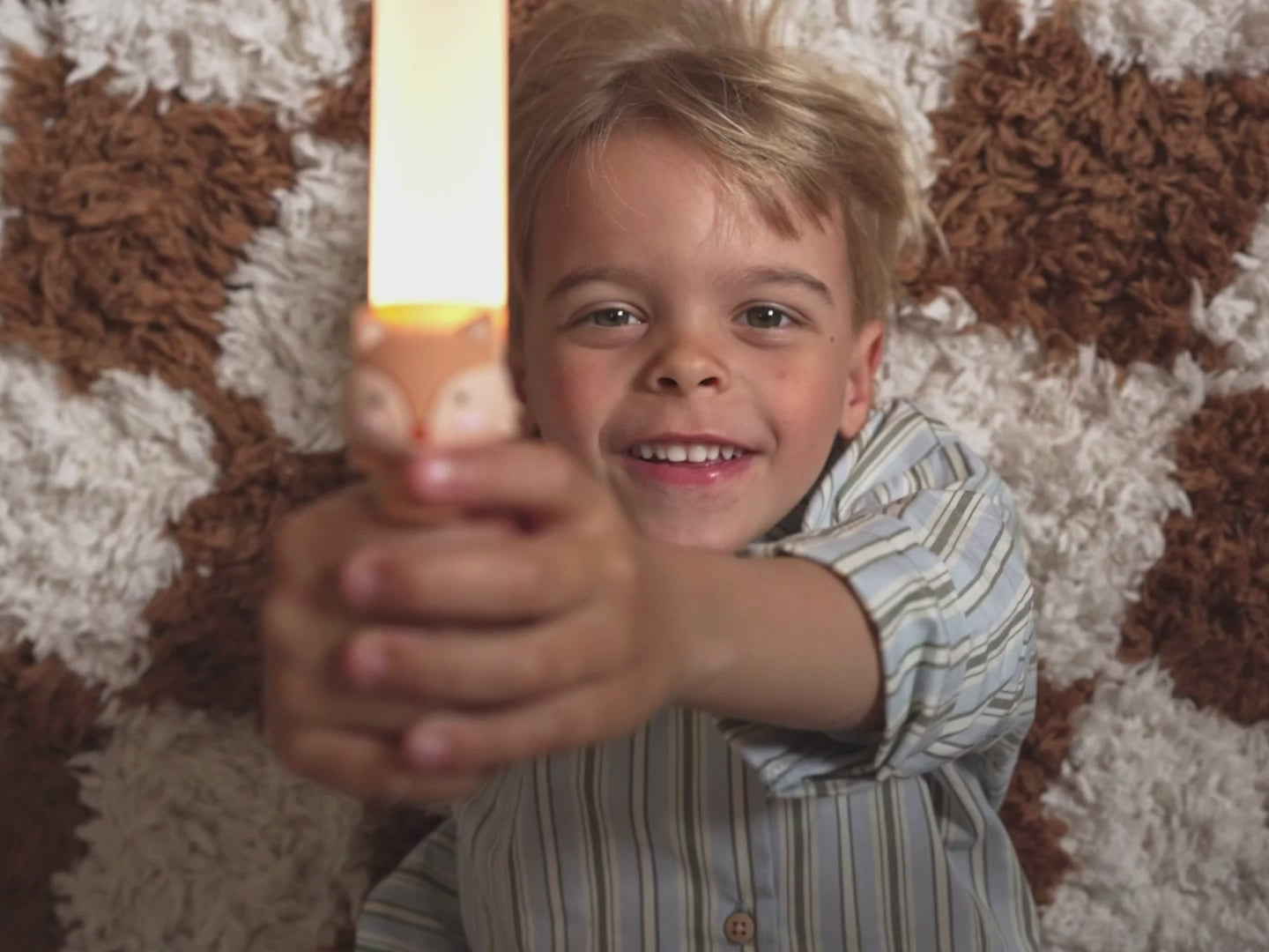 Zoo_Light_Long_Video_Youtube.MOV