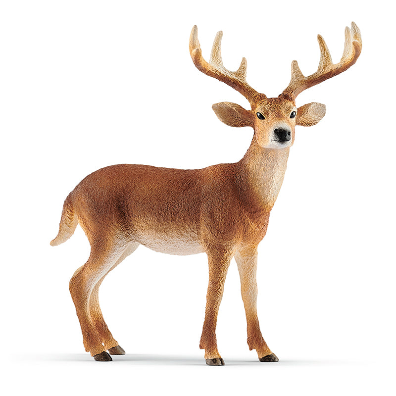 Schleich Whitetailed hjort
