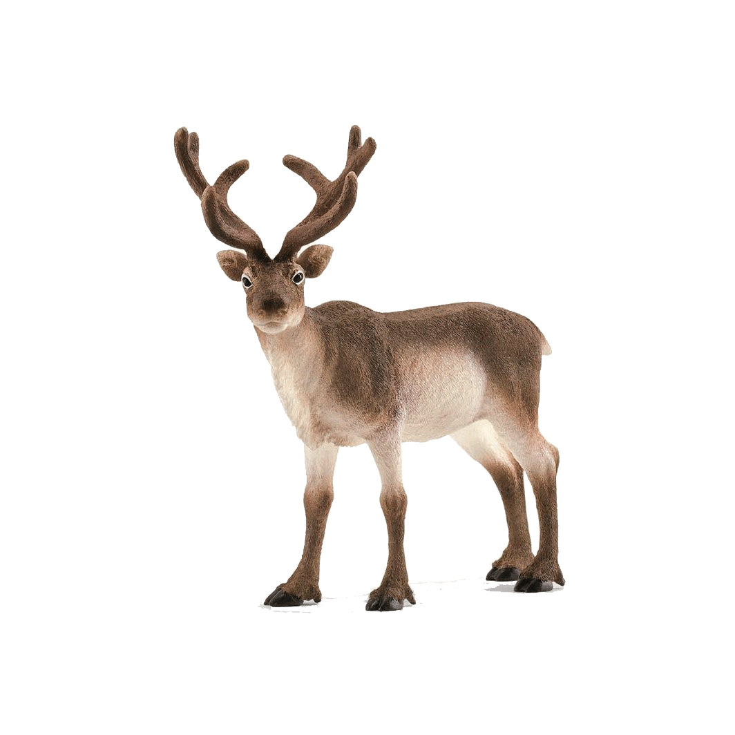 Schleich Wild Life, Reinsdyr