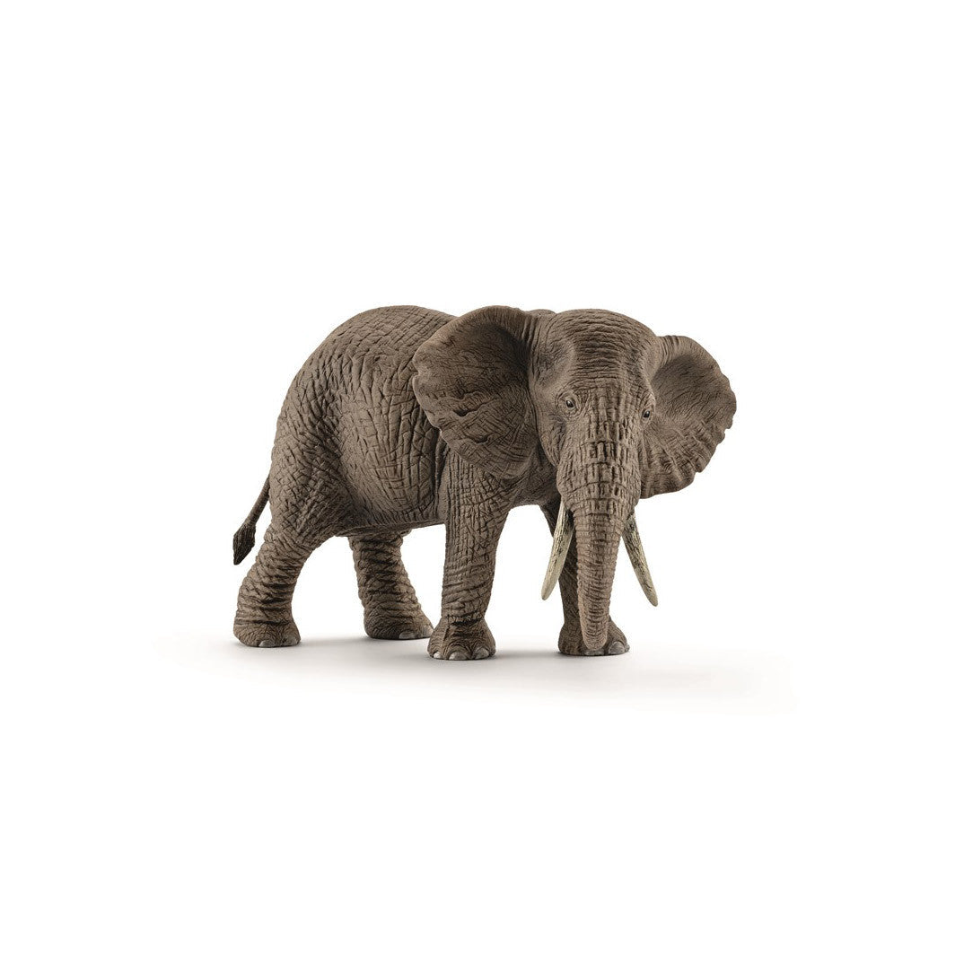 Schleich elefant, afrikansk hunn
