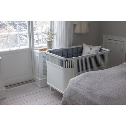 Sebra sengerand, kapok – Dusty blue
