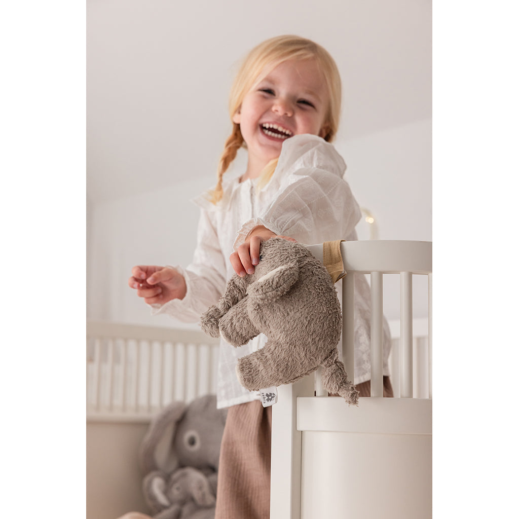 Sebra Musikuro - Grå elefant