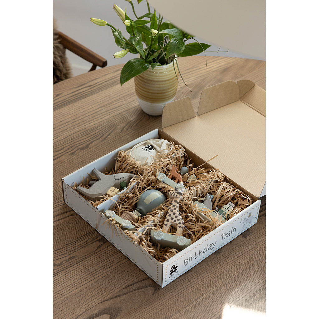 Sebra Bursdagstog i tre, World of Sebra