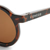 Liewood Darla solbriller for barn 4-10 år - Dark Tortoise/shiny