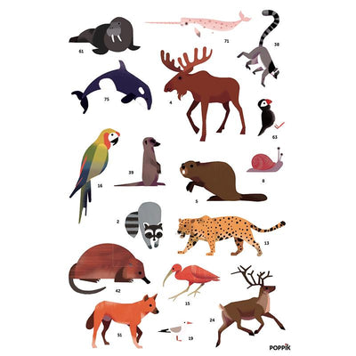 Poppik klistremosaikk i papir, Plakat og 67 klistremerker - Animals of the world