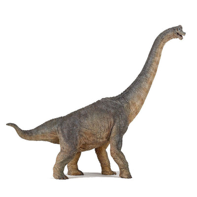 Papo dinosaur, Brachiosaure - langhals